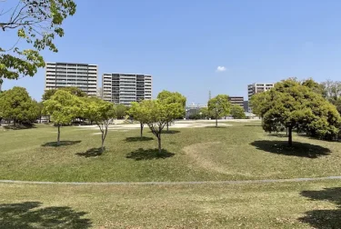 箱崎公園（福岡市東区）