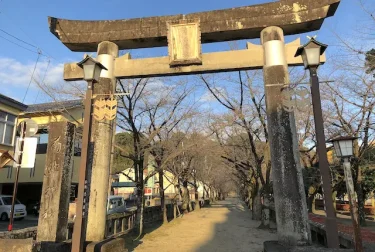 菊池神社（熊本県）季節に染まる神社