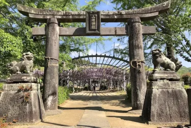 山田日吉神社の鳥居