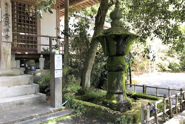 雲巌禅寺の湧水