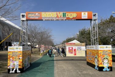 ホークスの春季キャンプ（生目の杜運動公園）