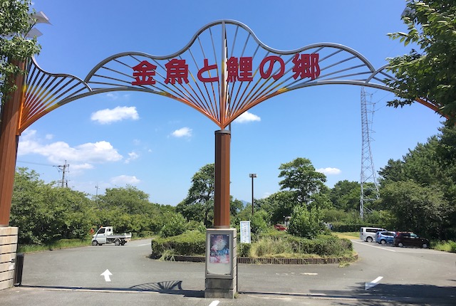 金魚と鯉の郷広場 熊本県長洲町 花見や水遊びもできる遊具充実の公園
