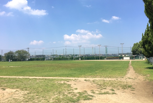  清水新地野球場