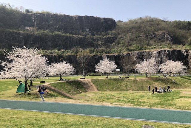 石神山公園桜