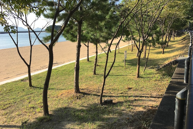 鶴ヶ浜海水浴場の松林