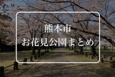 熊本市内の桜スポットまとめ