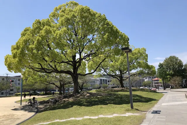 鹿児島アリーナ前の公園