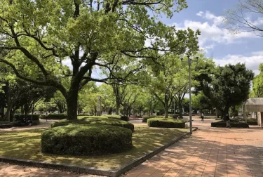 宮崎中央公園メインモール