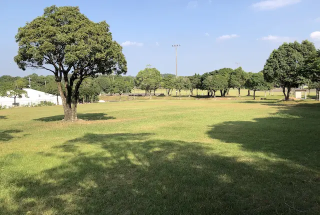 阿久根市総合運動公園のちびっこ広場