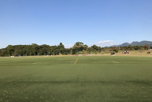 丸山自然公園の人工芝