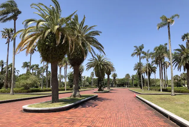 宮崎県総合運動公園の中央広場