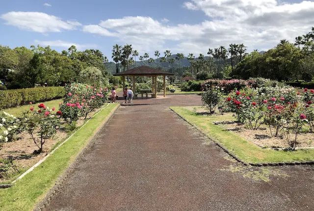 宮崎県総合運動公園のバラ園