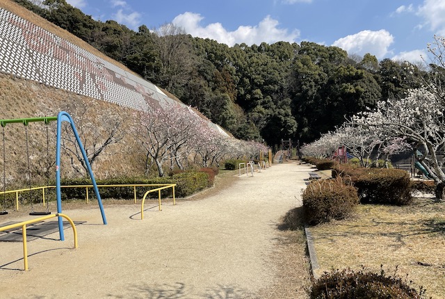 太宰府梅林アスレチックスポーツ公園の梅園