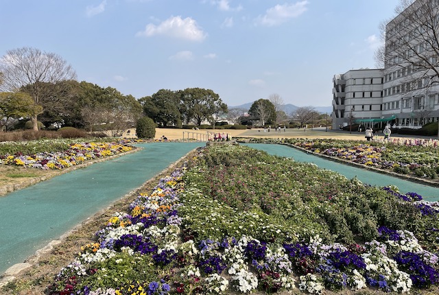 久留米百年公園の花壇