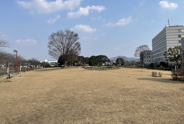 久留米百年公園の芝生広場