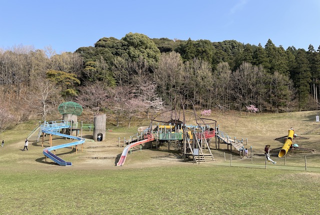 カブトの森公園の遊具