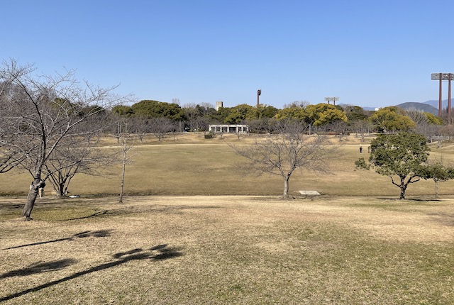 春日公園の調整池