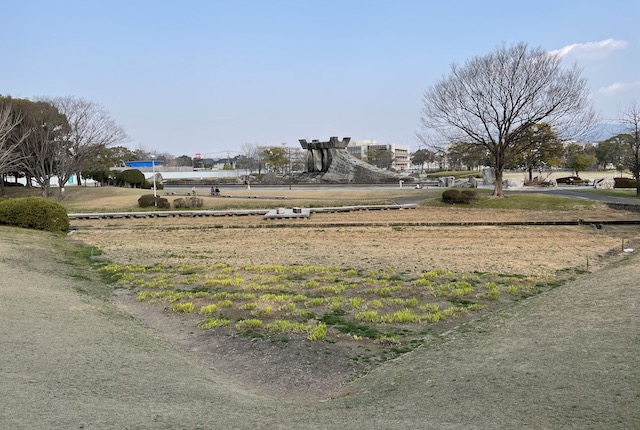 久留米市中央公園のしょうぶ池