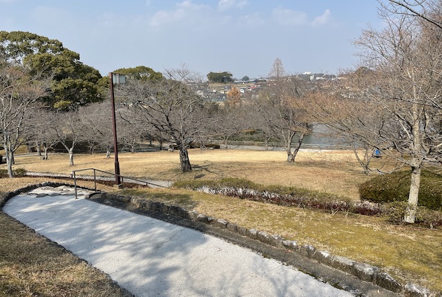 浦山公園のツツジ・サクラ園