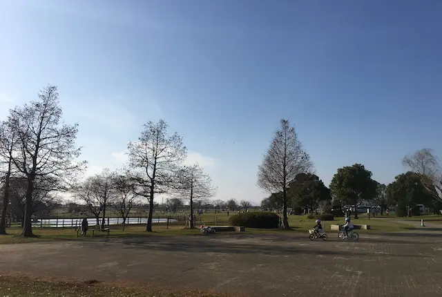 江津湖広木公園エントランス広場