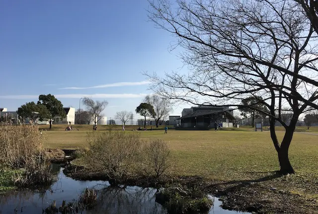 江津湖広木公園の水場の花畑