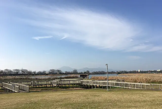 江津湖広木公園の自然観察園