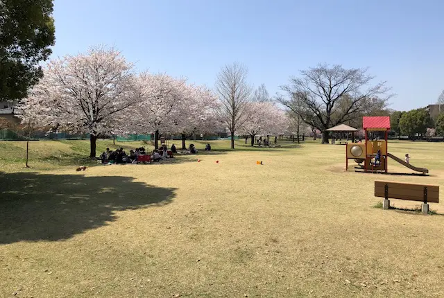 お花見の風景