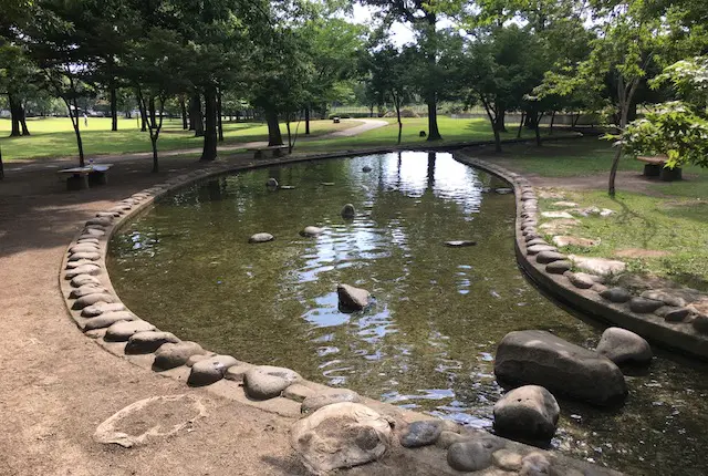 元気の森公園せせらぎ水路