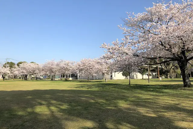 花見広場