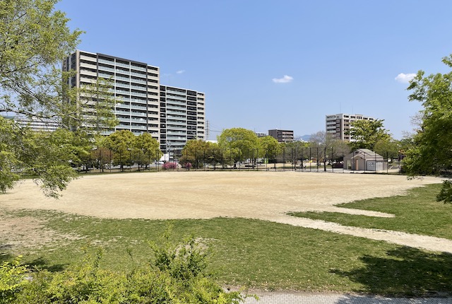 箱崎公園の多目的広場