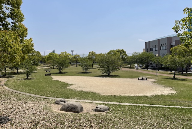 箱崎公園のお花見広場