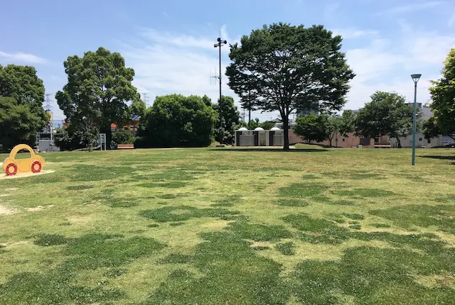 ひかりのもり公園の芝生広場