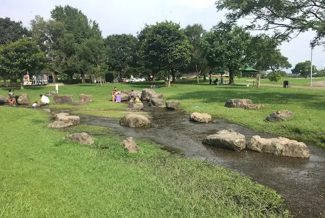 江津湖広木公園の水遊びスポット