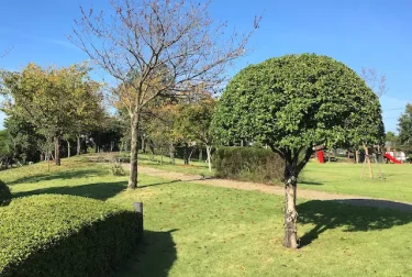 いぐさの里公園（熊本県八代市）