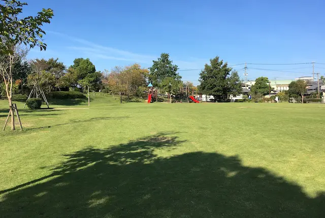 いぐさの里公園の芝生広場