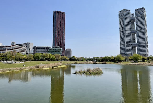 アイランドシティ中央公園の修景池