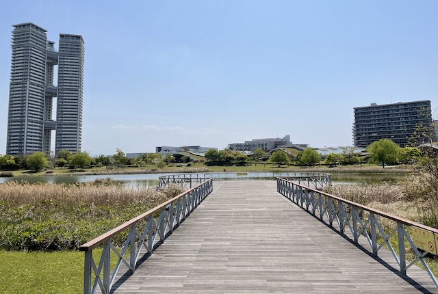 アイランドシティ中央公園のウッドデッキ