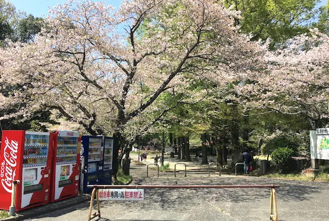 蛇ヶ谷公園