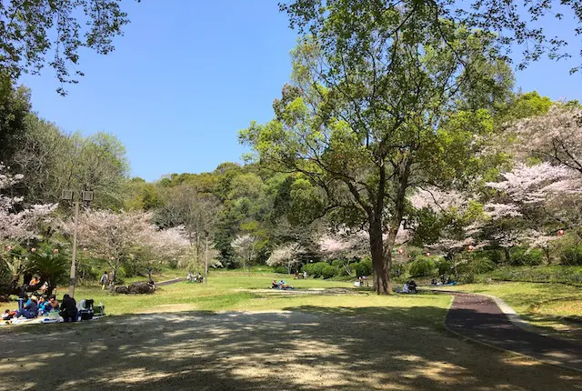 芝生広場