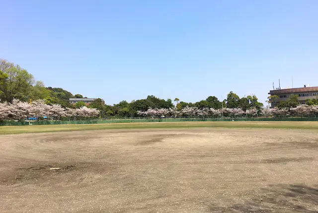 野球場