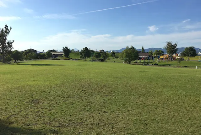 鏡ヶ池公園の芝広場