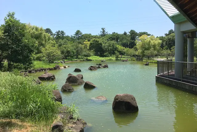 修景池