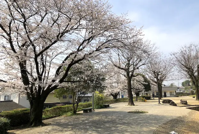 武蔵塚公園の児童公園