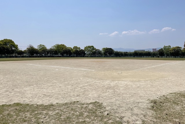 大井中央公園の野球場