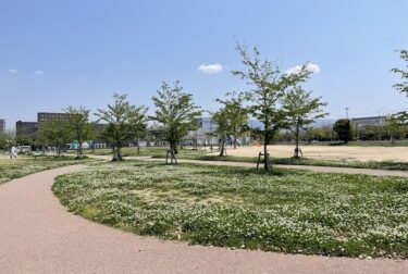 大井中央公園