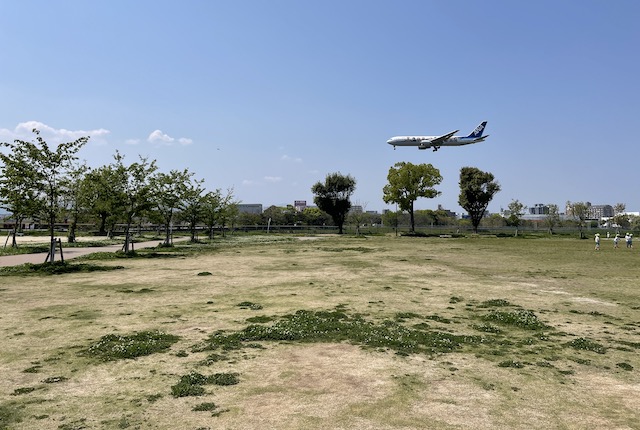 大井中央公園から見える飛行機