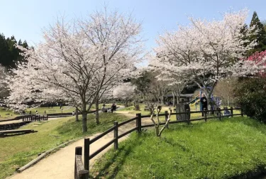 小野泉水公園