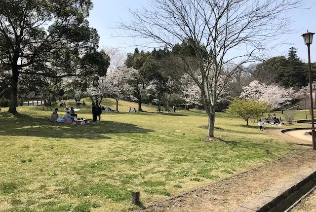 芝生広場