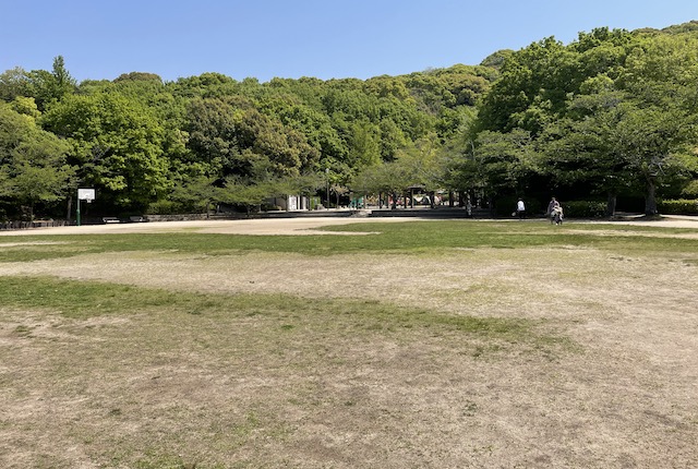 東平尾公園大谷広場の芝生広場