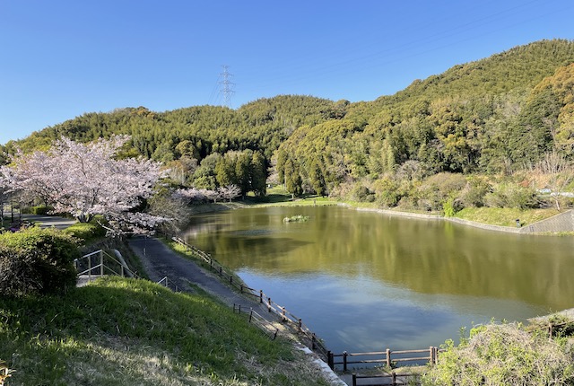 高田濃施山公園の宮ヶ浦池